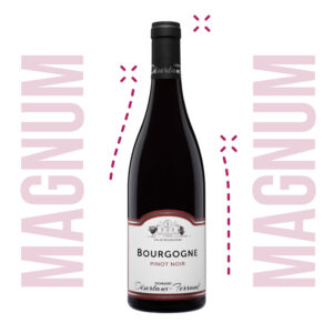 Bourgogne Pinot Noir 2021/2022 - 150cl