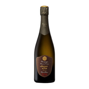 Monts de Vertus Extra Brut 2016 - 75cl