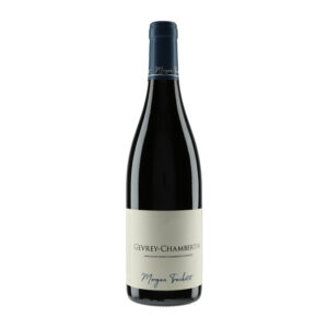 Gevrey Chambertin 2023 - 75cl