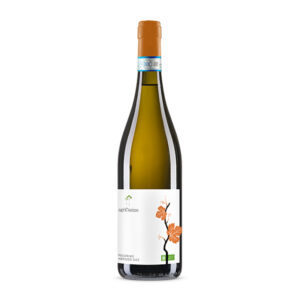 Pecorino 2023 - 75cl