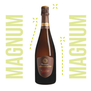 Monts de Vertus Extra Brut 2012/2014 - 150cl
